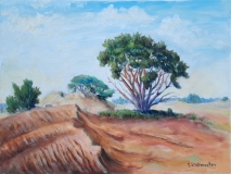 Dünenlandschaft in der Hoge Veluwe (NL), 40x60 cm