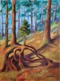 Jungbaum im Bergwald, 50x70cm, Acryl auf Leinwand