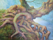 überhängende Baumwurzel 50x70 Acryl auf Leinwand