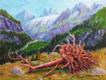 Baumwurzel über dem Tal der Engelberger Aa, Acryl auf Leinwand, 40x50 cm