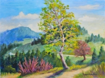 Birke im Frühling bei Gersbach im Südschwarzwald, Acryl auf Leinwand, 40x50 cm