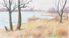 Rhein bei Baumberg