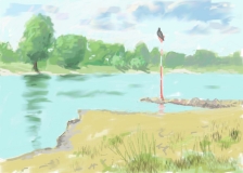 Rheinufer mit Kormoran