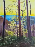 Bäume im Krabachtal im Gegenlicht, Acryl auf Leinwand 50x70 cm