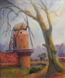 Windmühle in Zons