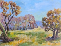 Urdenbacher Kämpe bei Düsseldorf, Öl auf Leinwand, 40x60 cm