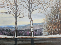 Winter in Eitorf Irlenborn 60x70 Acryl auf Leinwand