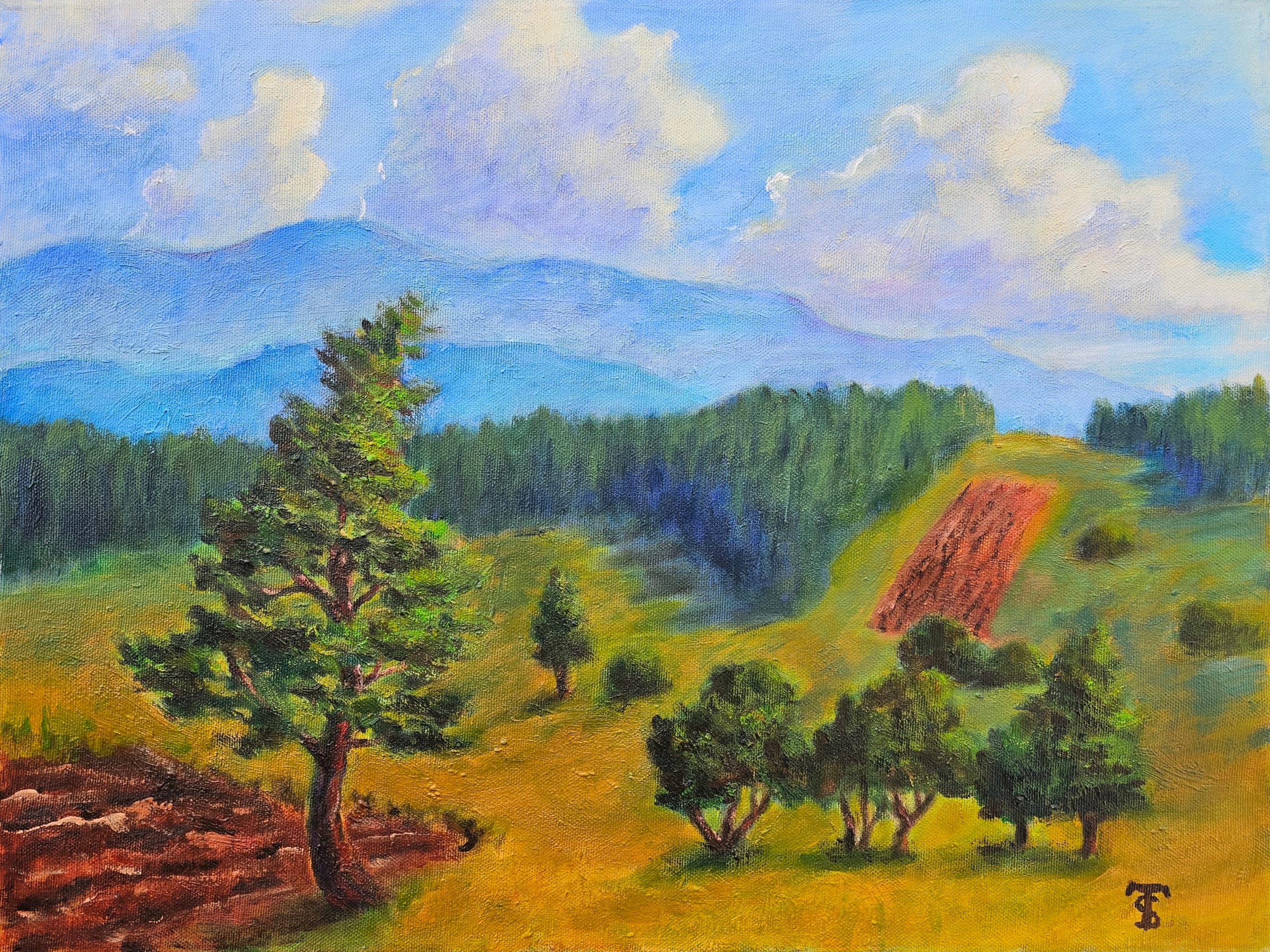 Landschaft im Apennin, Acryl auf Leinwand, 40x50 cm